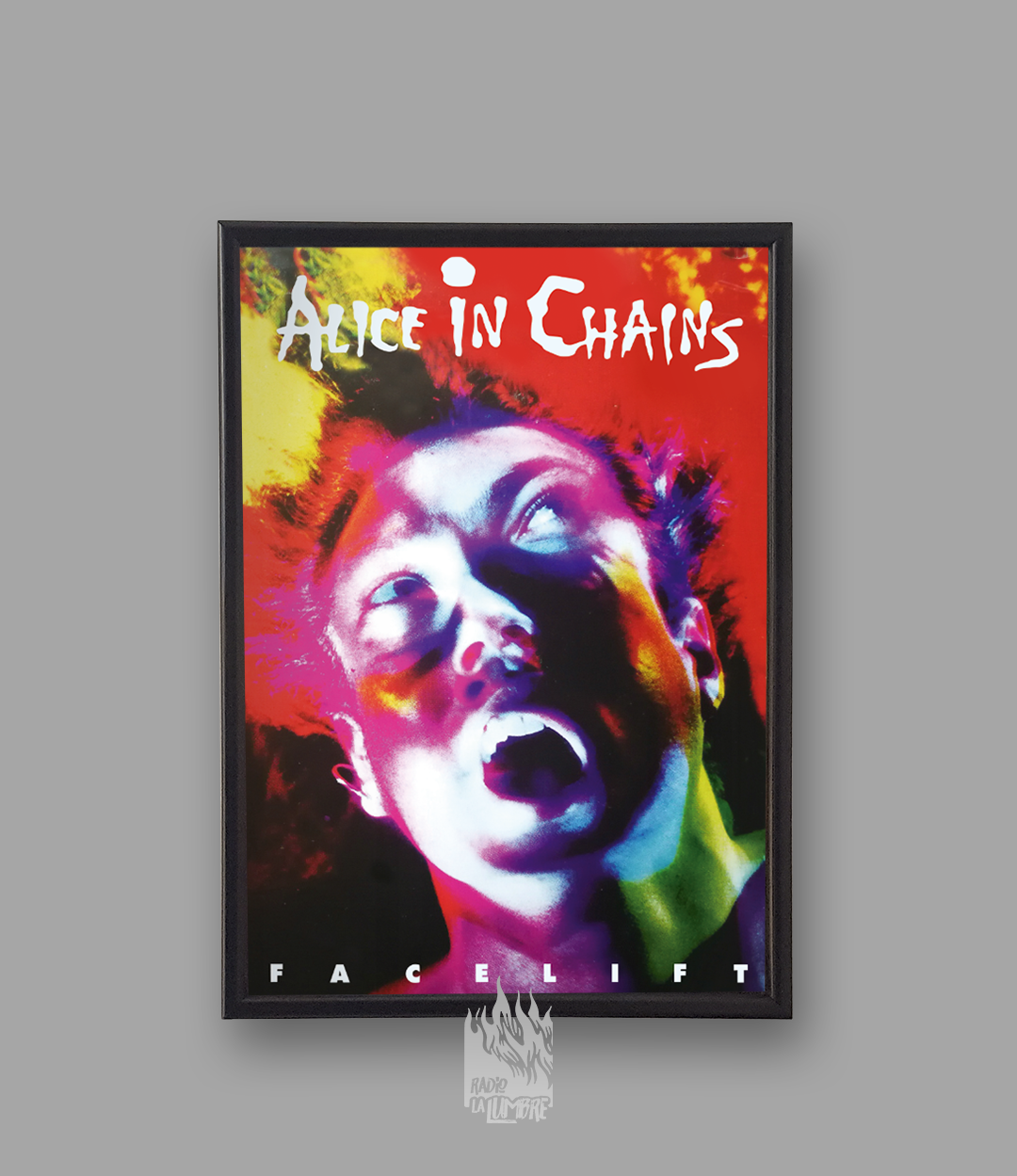 Cuadros Alice in Chains
